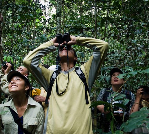 Biologists bserving animals in Amazonian Jungle. Cuyabeno Wildlife Reserve, Sucumbios, Ecuador. Observando fauna en la Comunidad de Pacuya, Reserva de Produccion Faunistica de Cuyabeno, Sucumbíos, Ecuador